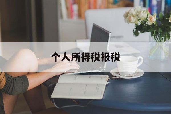 个人所得税报税(个人所得税报税步骤)