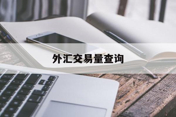 外汇交易量查询(外汇交易量查询官网)